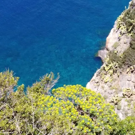Apartamento Eleonora Palmi